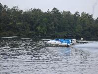 IMG_6431.jpg