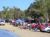 IMG_0233.jpg