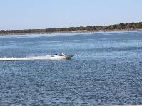 IMG_0085.jpg