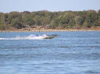 IMG_0116.jpg