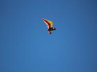 IMG_0478.jpg