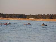 IMG_0725.jpg