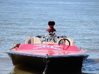 IMG_0153.jpg