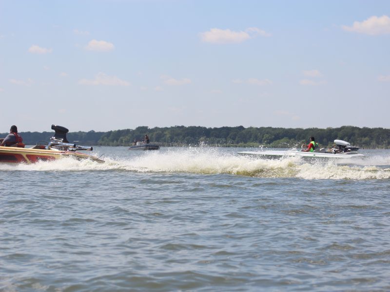 IMG_1290.jpg