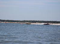 IMG_1667.jpg