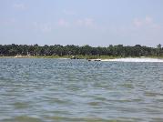 IMG_6233.jpg