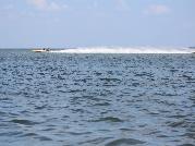 IMG_6303.jpg