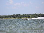 IMG_6334.jpg