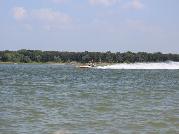 IMG_6343.jpg