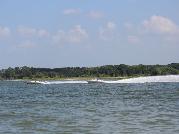 IMG_6361.jpg
