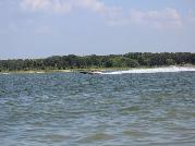 IMG_6403.jpg