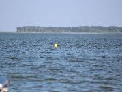 IMG_6463.jpg
