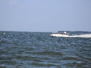 IMG_6555.jpg