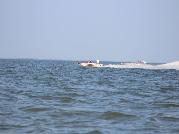 IMG_6747.jpg