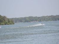 IMG_9173[1].jpg