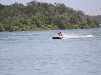 IMG_9207[1].jpg