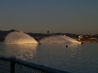 IMGP9686.jpg