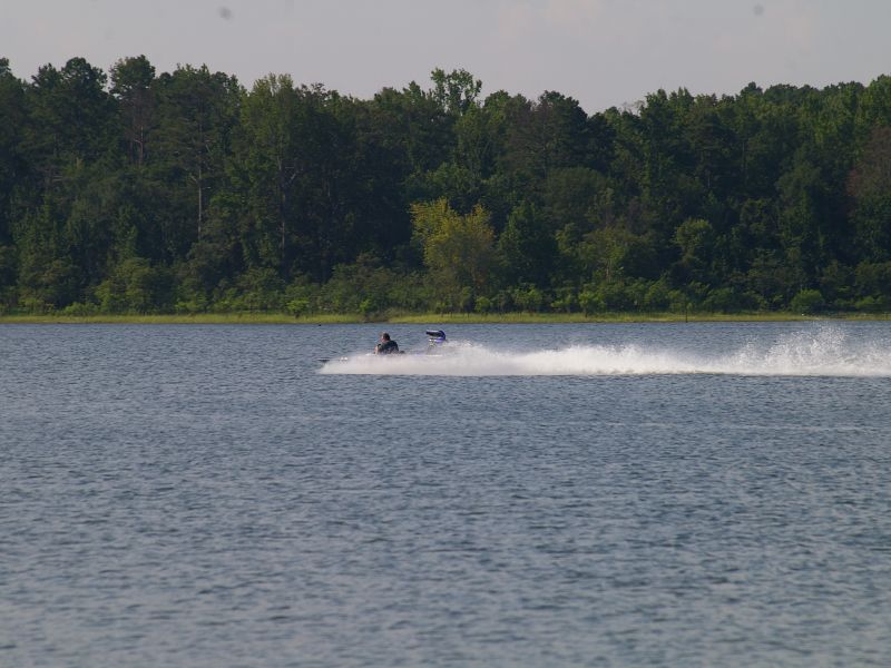 IMGP2308.jpg