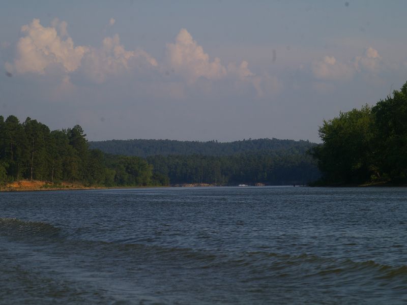 IMGP2619.jpg
