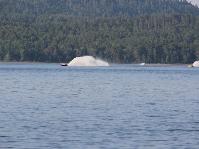 IMG_5358.jpg