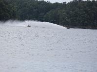IMG_5710.jpg