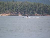 IMG_5768.jpg