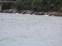 IMG_5864.jpg