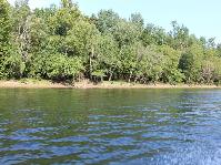 IMG_5885.jpg