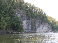 IMG_5889.jpg