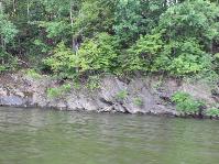 IMG_5895.jpg