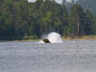 IMGP2241.jpg