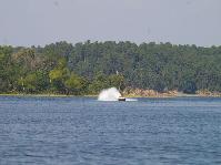 IMGP2279.jpg