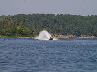 IMGP2280.jpg