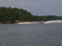 IMGP2398.jpg