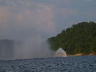 IMGP2642.jpg