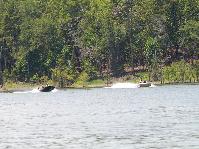 IMGP1785.jpg